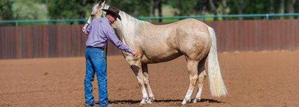 Take-the-Worry-Away-from-Fly-Spray