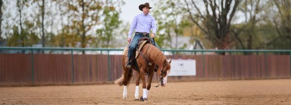 How-to-Refine-Lead-Changes