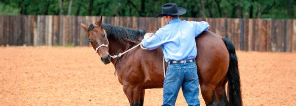 Flexing-the-Head-Neck