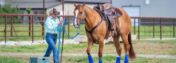 The-Concept-Lessons-vs-The-Do-It-Now-Stage