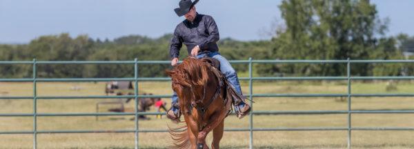 Four-Core-Principles-of-Training